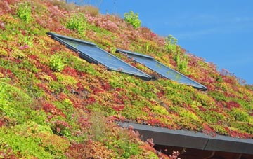 Rossett living roof systems